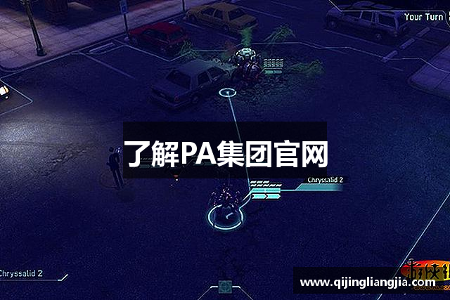 了解PA集团官网